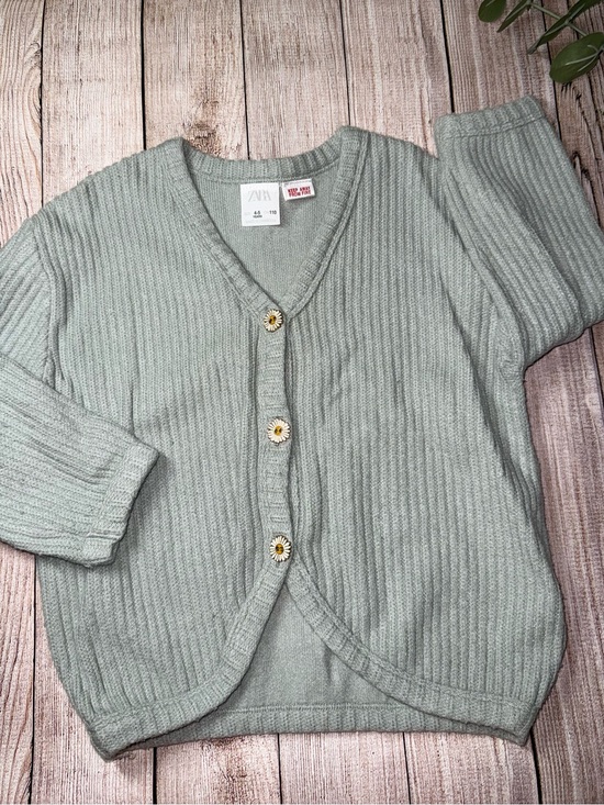 Zara Other - Zara | Cardigan Sweater
